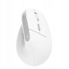 Trust Bayo II Ergonomic Wireless Mouse 25398