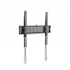 Gembird GEMBIRD Držák TV WM-55F-02, 32