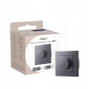 Aqara H2