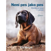 Není pes jako pes