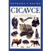 Cicavce - Príroda v kocke