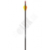 1.5. Šíp/trubka EASTON GAMEGETTER XX75 500/400/340/300 lov/terč