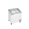TEFCOLD NIC 201 SCEB