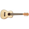 CASCHA HH 2151 Concert Mahogany Ukulele Set