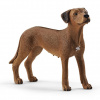 Schleich 13895 Ridgback rhodéský
