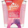 Glade by Brise Petals & Blossom 129 g