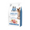 Brit care cat large cats power and vitality grain free 2kg
