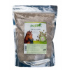 Stiefel Psyllium šupky semien 1 kg
