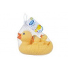 Playgro Kačacia rodinka do vane