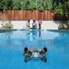 Sparks - Hippopotamus / Digipack [CD]