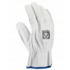 Ardon INDY A1099/10/SPE