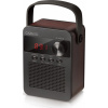 CARNEO F90 FM rádio, BT reproduktor, black/wood
