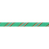 BEAL dynamické lano Tiger 10mm 60 m | farba: green