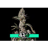 Fast Buds Gorila Zkittlez Auto neobsahuje THC 3 semena