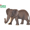 Atlas E Slon africký 16cm