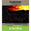E-kniha Cudzinec - Lily Wonderland