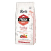 Brit Fresh Beef with Pumpkin Puppy Large 12 kg
