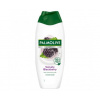 Palmolive Smoothies Blackberry sprchový gel pro ženy 500 ml