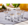 OKULIARE VODKA GRÉCKY VZOR 25 ml SADA 6 KS