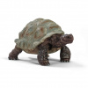 Schleich 14824 Želva obrovská