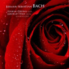 BACH: Flute Sonatas. Oshima. Tuma (CD)