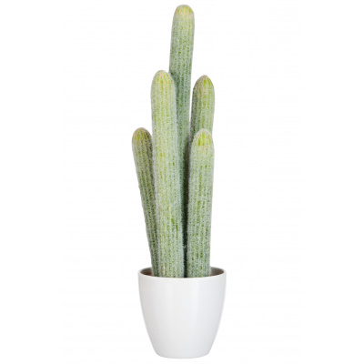 J-Line Kaktus, umelá rastlina, svetlozelená, v 52,5 cm, od J-Line