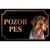Nemecký drôtosrstý stavač - Kovová tabuľka POZOR PES