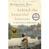 Behind the Beautiful Forevers