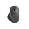 HAMA Viaczariad. myš WM-900, ergon., bezdrôtová/BT, LED, softvér - 00173097