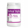 DOLFOS MULTICAL BIGDOG 800 g tabletky