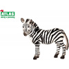 Atlas Zebra 8590331018192