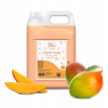 Tekuté mydlo na ruky Idea Home Fragante Mango 5 l
