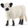 SCHLEICH (Farm World) Galloway Krava - 13960