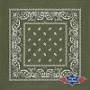 Stars and Stripes Bavlnená šatka - bandana (zelená 10)