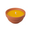 Nohel Garden Sviečka citronELLA FLOWER žardinka s 1 knôtom 300g d1