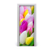 Samolepiace fototapety na dvere farebné tulipány 75x205