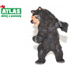 Atlas C Medvěd baribal 11cm