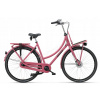 Mestsky bicykel - Batavus Packd 7 / Cassis 55 City Bike (Batavus Packd 7 / Cassis 55 City Bike)