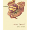 PAVORD ANNA - Tulip