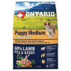 ONTARIO Dog Adult Medium Chicken & Potatoes & Herbs 2,25 kg