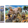 Norimpex Diamantové maľovanie Safari selfie 30 x 40 cm