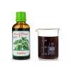 Kopřiva list BIO - bylinné kapky (tinktura) - doplněk stravy 50 ml