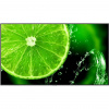 LED monitor NEC E758 75 