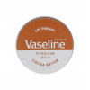 Vaseline Lip Therapy balzam na pery Cocoa Butter 20 g
