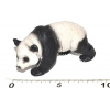Atlas C Panda 9,5 cm