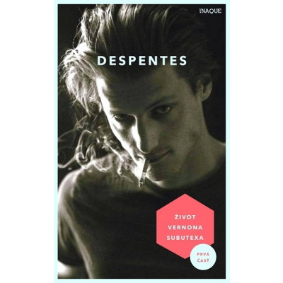 Život Vernona Subutexa 1 - Virginie Despentes