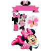 CUKROVÁ TLAČ jedlý obrázok na tortu Cukrová hmota Minnie Mouse Miki SET 20