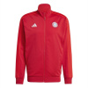 adidas FC Bayern Munich DNA Track Top 2024 2025 Adults Red M