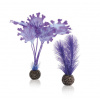 biOrb kelp set fialový 20 cm