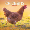 Chickens, 30,5 x 30,5 30,5 x 61 cm 2026